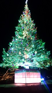 take_file_20131201183217241.jpg